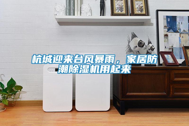 杭城迎來臺風(fēng)暴雨，家居防潮除濕機(jī)用起來
