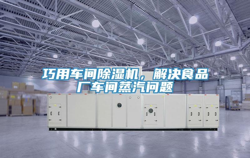 巧用車間除濕機，解決食品廠車間蒸汽問題