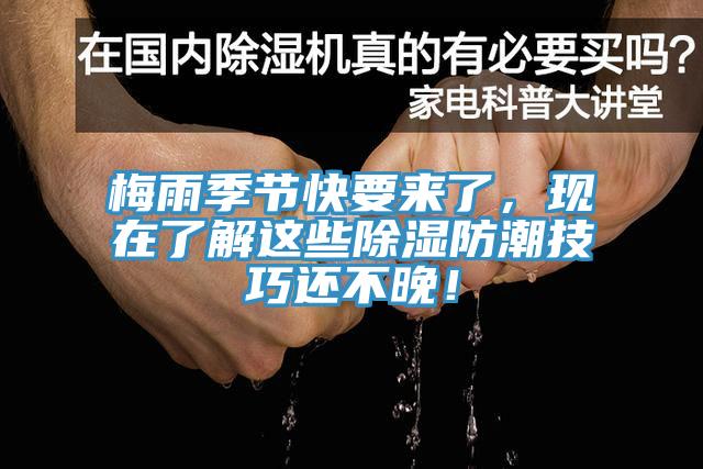 梅雨季節(jié)快要來了，現(xiàn)在了解這些除濕防潮技巧還不晚！