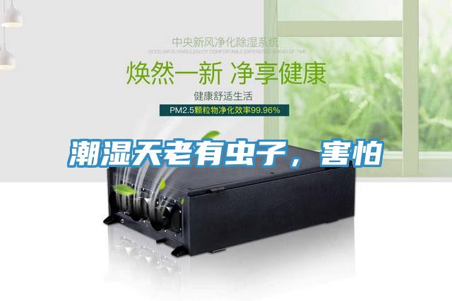 潮濕天老有蟲子，害怕