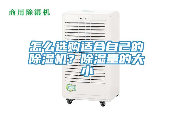 怎么選購(gòu)適合自己的除濕機(jī)？除濕量的大小