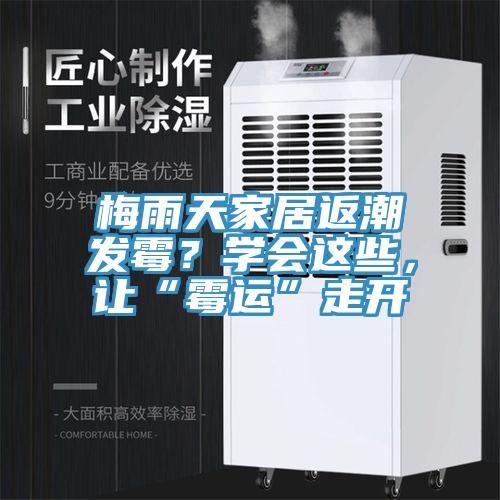 梅雨天家居返潮發(fā)霉？學(xué)會這些，讓“霉運”走開