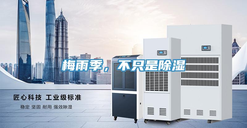 梅雨季，不只是除濕