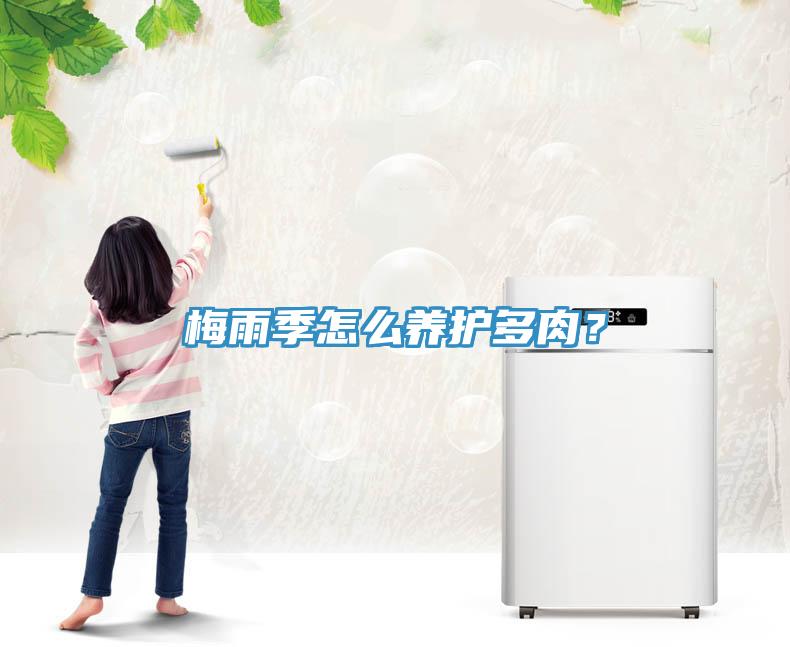 梅雨季怎么養(yǎng)護(hù)多肉？