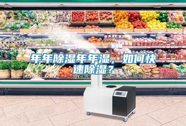 年年除濕年年濕，如何快速除濕？