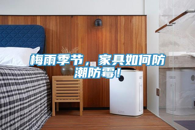 梅雨季節(jié)，家具如何防潮防霉！