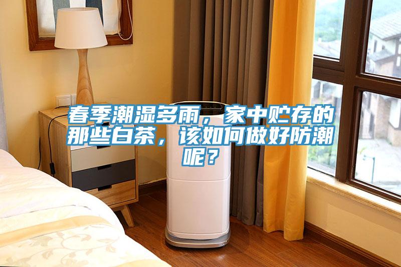 春季潮濕多雨，家中貯存的那些白茶，該如何做好防潮呢？