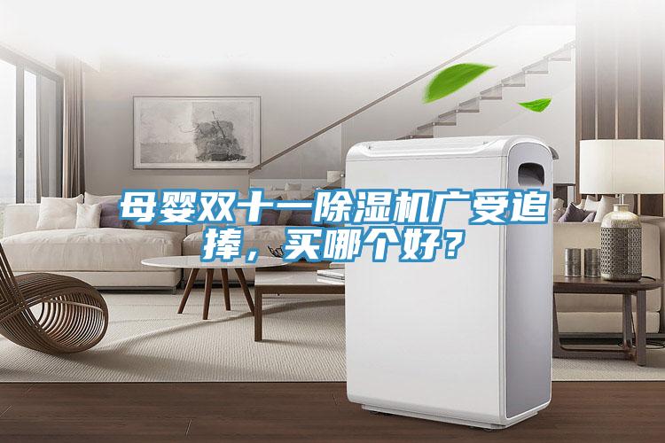 母嬰雙十一除濕機廣受追捧，買哪個好？