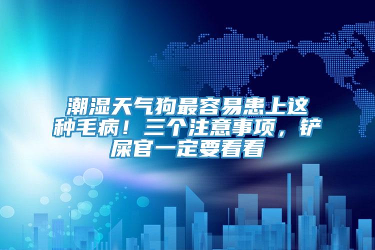 潮濕天氣狗最容易患上這種毛?。∪齻€(gè)注意事項(xiàng)，鏟屎官一定要看看