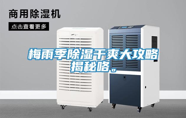 梅雨季除濕干爽大攻略揭秘咯。