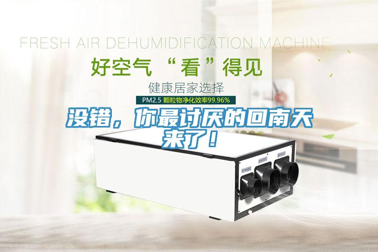 沒錯(cuò)，你最討厭的回南天來了！