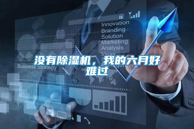 沒有除濕機(jī)，我的六月好難過