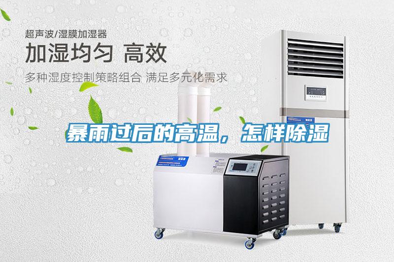暴雨過后的高溫，怎樣除濕