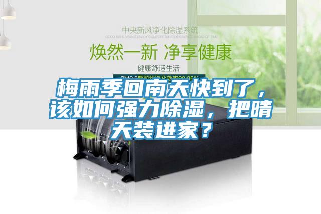 梅雨季回南天快到了，該如何強力除濕，把晴天裝進家？