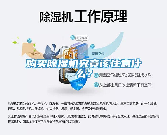 購買除濕機(jī)究竟該注意什么？