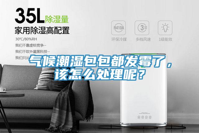 氣候潮濕包包都發(fā)霉了，該怎么處理呢？