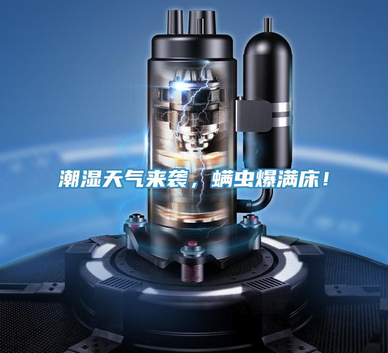 潮濕天氣來襲，螨蟲爆滿床！