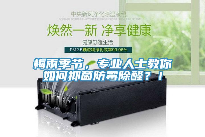 梅雨季節(jié)，專業(yè)人士教你如何抑菌防霉除醛？！