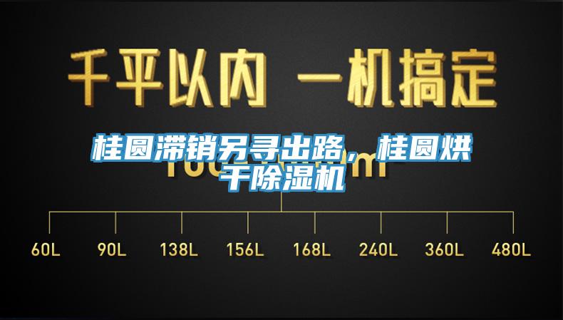 桂圓滯銷(xiāo)另尋出路，桂圓烘干除濕機(jī)