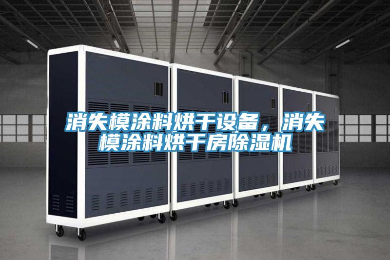 消失模涂料烘干設(shè)備，消失模涂料烘干房除濕機(jī)
