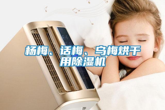 楊梅、話梅、烏梅烘干用除濕機(jī)