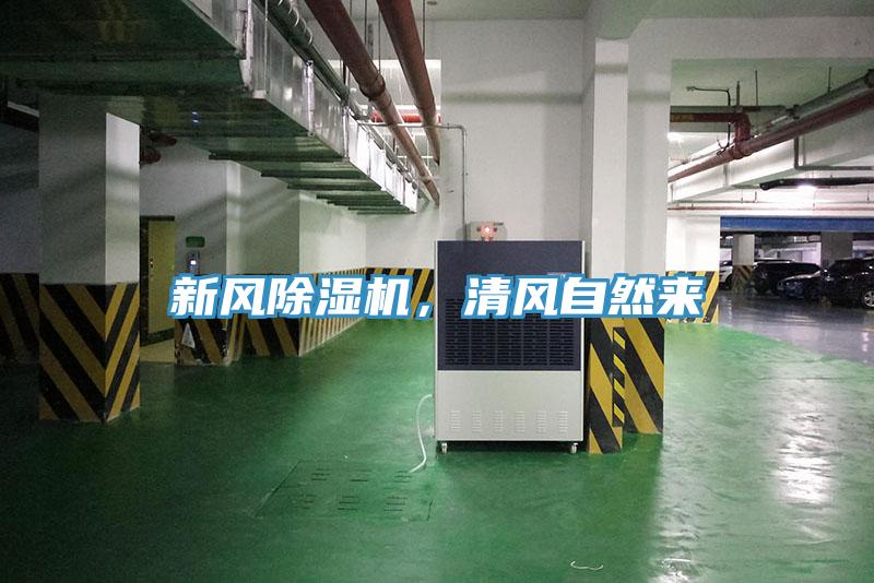 新風(fēng)除濕機(jī)，清風(fēng)自然來