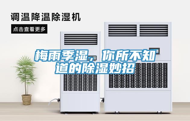 梅雨季濕，你所不知道的除濕妙招