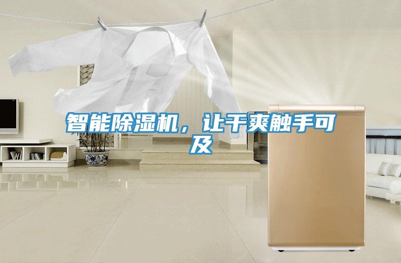 智能除濕機，讓干爽觸手可及