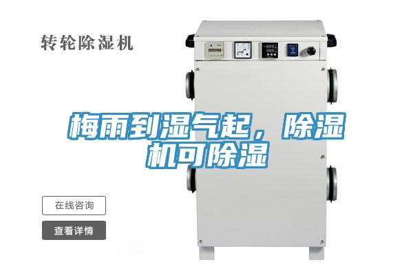 梅雨到濕氣起，除濕機(jī)可除濕