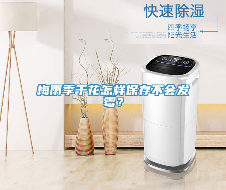 梅雨季干花怎樣保存不會(huì)發(fā)霉？