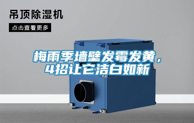 梅雨季墻壁發(fā)霉發(fā)黃，4招讓它潔白如新