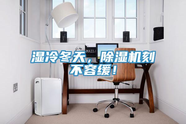 濕冷冬天，除濕機刻不容緩！