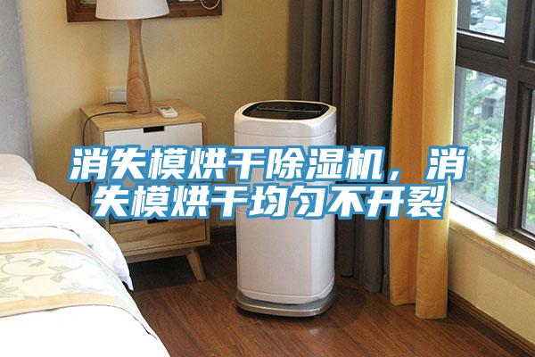消失模烘干除濕機(jī)，消失模烘干均勻不開裂