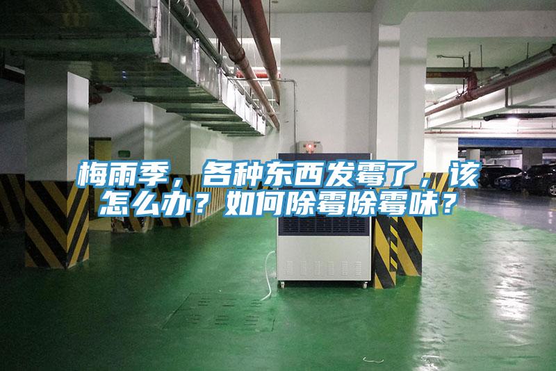 梅雨季，各種東西發(fā)霉了，該怎么辦？如何除霉除霉味？