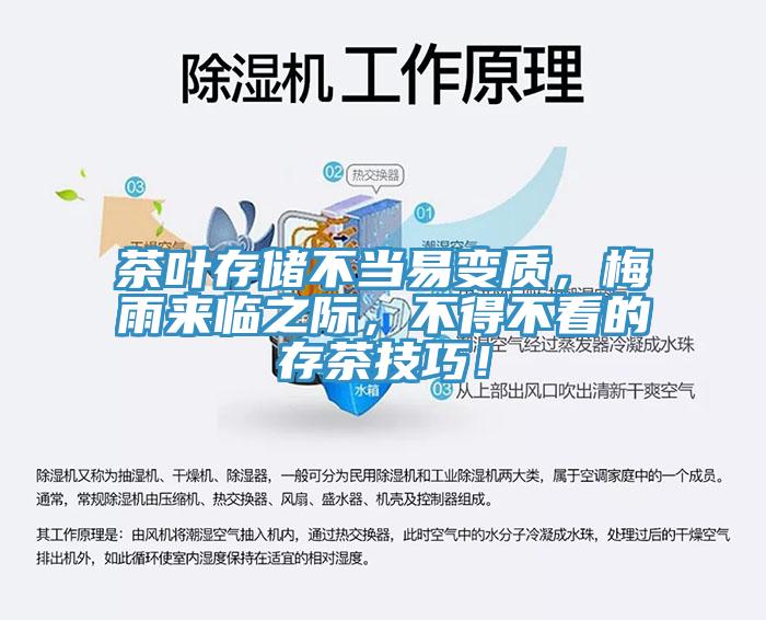 茶葉存儲(chǔ)不當(dāng)易變質(zhì)，梅雨來臨之際，不得不看的存茶技巧！