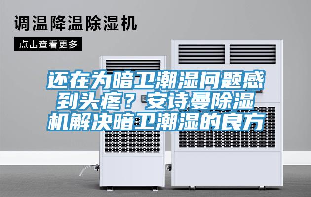 還在為暗衛(wèi)潮濕問題感到頭疼？安詩曼除濕機解決暗衛(wèi)潮濕的良方