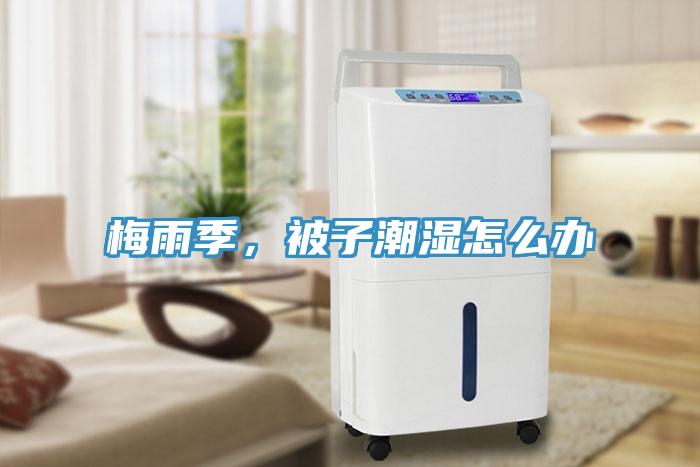梅雨季，被子潮濕怎么辦