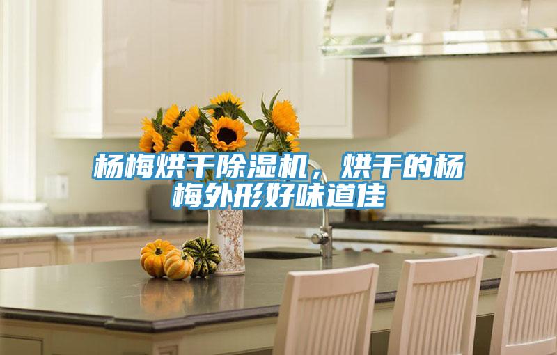 楊梅烘干除濕機(jī)，烘干的楊梅外形好味道佳