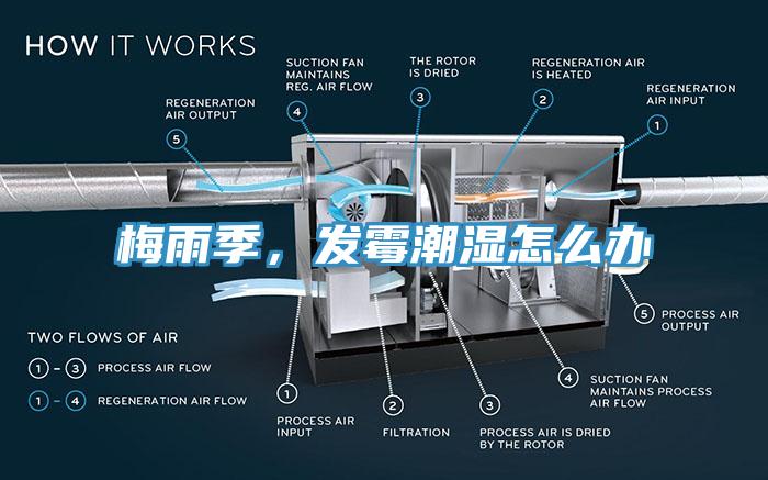 梅雨季，發(fā)霉潮濕怎么辦