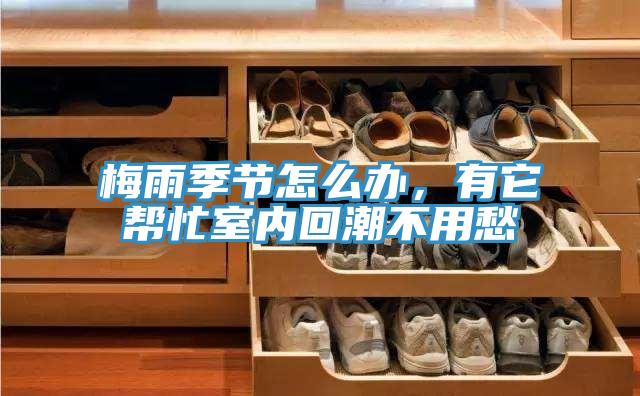 梅雨季節(jié)怎么辦，有它幫忙室內(nèi)回潮不用愁