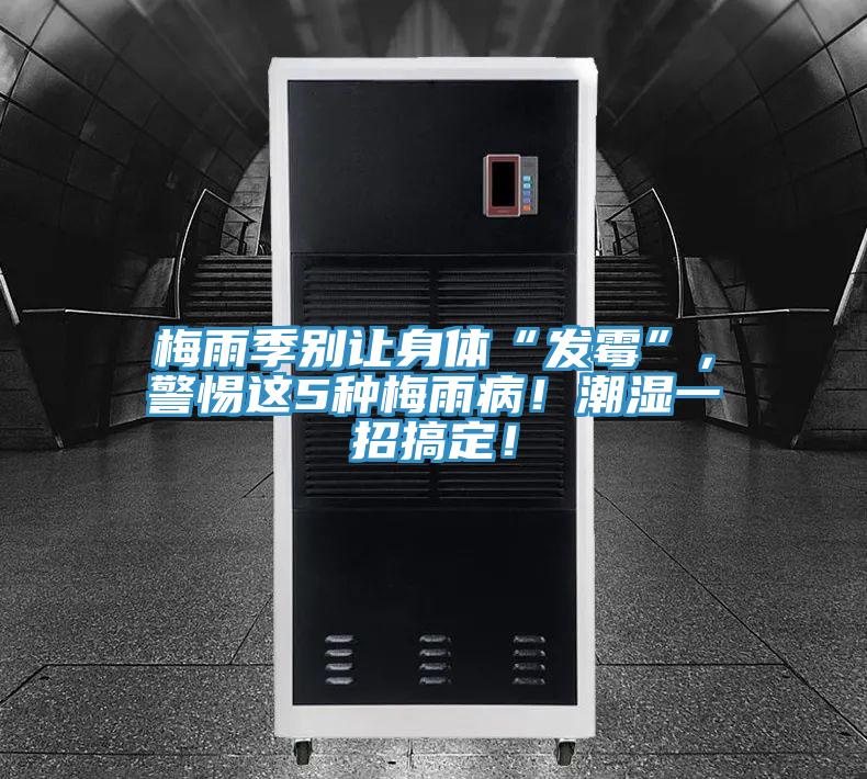 梅雨季別讓身體“發(fā)霉”，警惕這5種梅雨??！潮濕一招搞定！