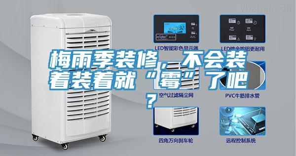 梅雨季裝修，不會(huì)裝著裝著就“霉”了吧？