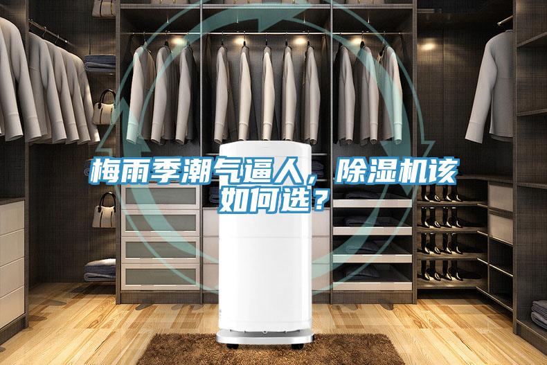 梅雨季潮氣逼人，除濕機該如何選？