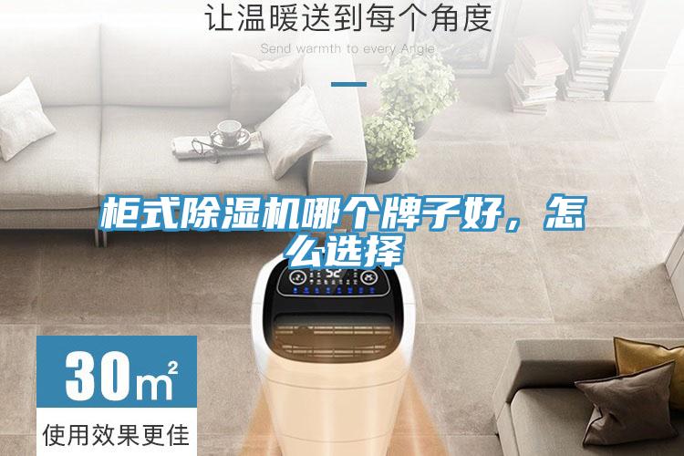 柜式除濕機哪個牌子好，怎么選擇