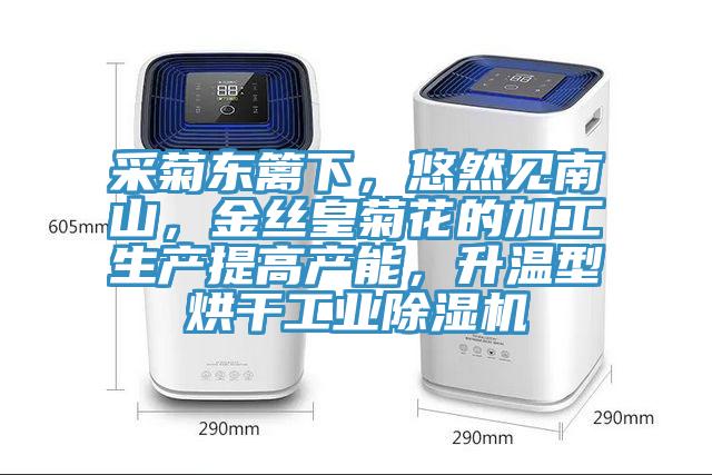 采菊東籬下，悠然見南山，金絲皇菊花的加工生產(chǎn)提高產(chǎn)能，升溫型烘干工業(yè)除濕機