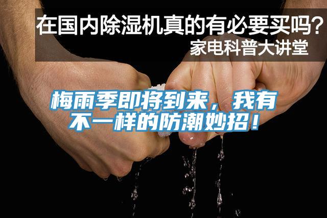 梅雨季即將到來(lái)，我有不一樣的防潮妙招！