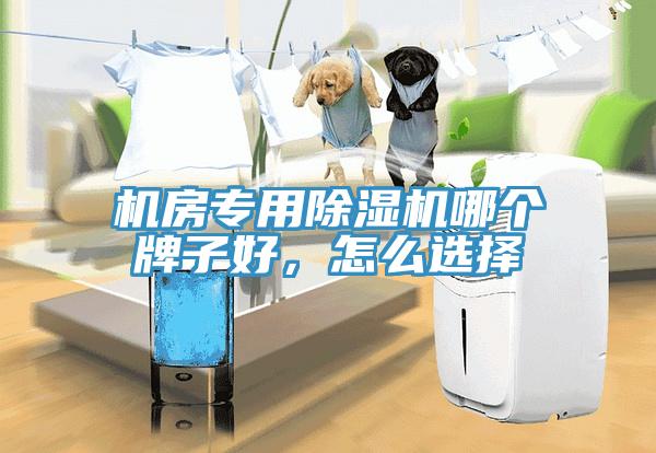 機(jī)房專用除濕機(jī)哪個(gè)牌子好，怎么選擇