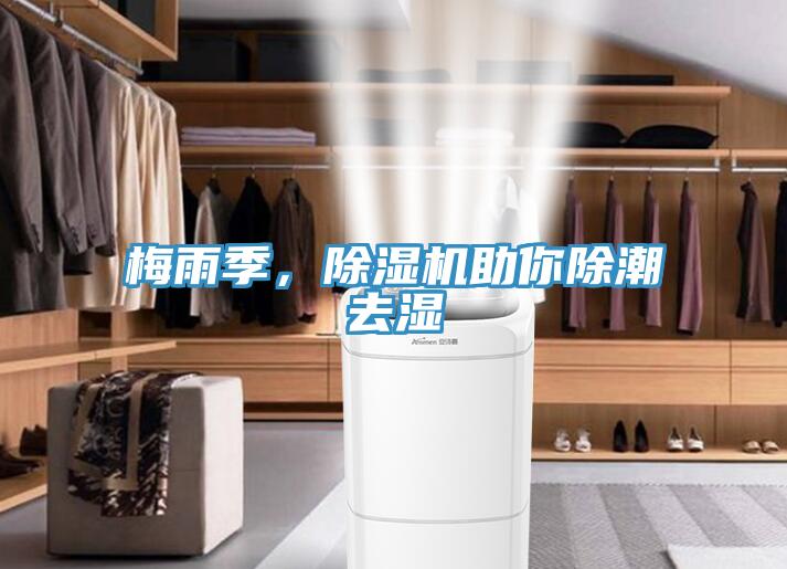 梅雨季，除濕機(jī)助你除潮去濕
