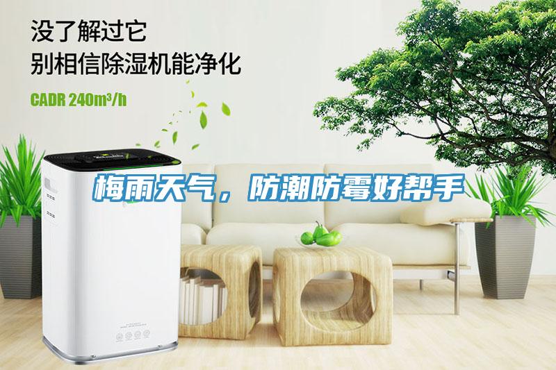 梅雨天氣，防潮防霉好幫手