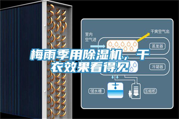 梅雨季用除濕機，干衣效果看得見